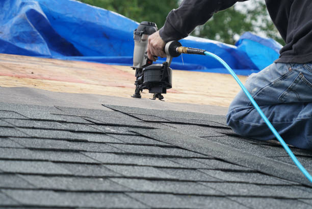 Best Chimney Flashing Repair  in Lemmon, SD