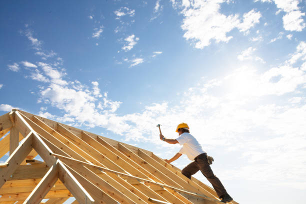 Best Skylight Installation and Repair  in Lemmon, SD